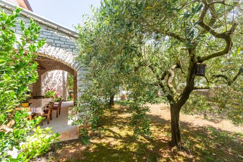 Apartment Anica Štinjan