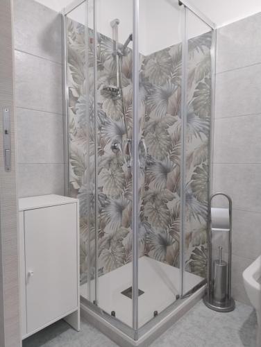 y baño con ducha y pared de cristal. en La Casa Di Nonna Lucrezia, en Orsomarso