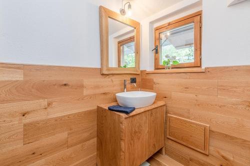 a bathroom with a sink and a mirror at Nest-home in front to Mont Blanc in Courmayeur