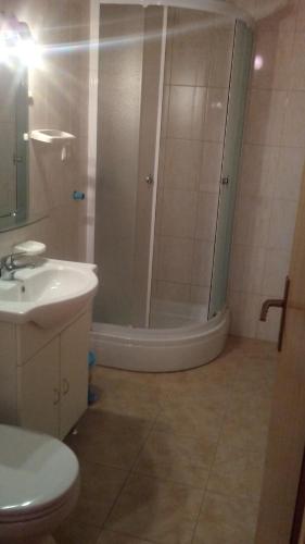 a bathroom with a shower and a toilet and a sink at Apartmani Trputec, otok Vir in Vir