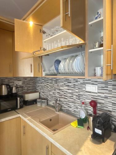 Η κουζίνα ή μικρή κουζίνα στο Violeta Apartments