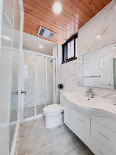 a bathroom with a toilet and a sink and a shower at 枕123民宿 宜蘭包棟民宿 依人數開房 in Yilan City