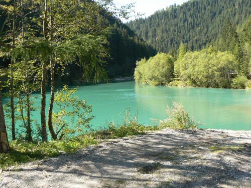 a view of a river with trees and a mountain at Haus Izabella in Filzmoos