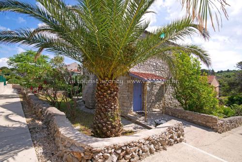 Schöne Wohnung In Veli Losinj