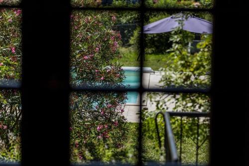 a window view of a garden with an umbrella at Gite des granges in Fargues
