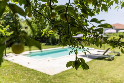 a swimming pool in a yard with trees at Gite des granges in Fargues