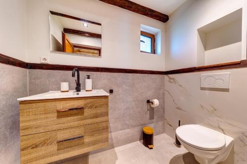 a bathroom with a toilet and a sink at При Баръма in Vishnevo