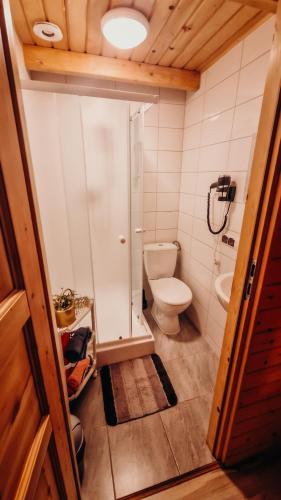 a small bathroom with a toilet and a shower at Polna Przystań 694-272-463 in Uherce Mineralne (7)