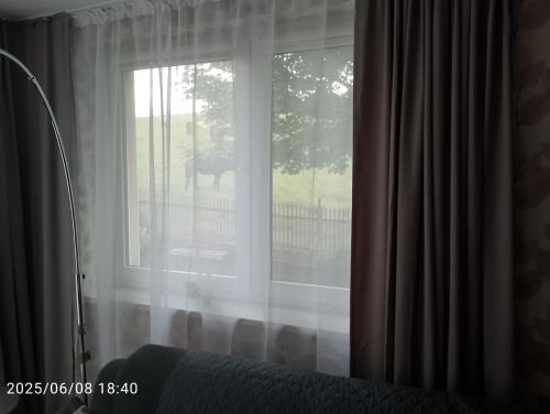 a window with a view of a horse outside at Nähe Plohn Park - FEWO mit Spielzimmer und Balkon, DZ in Auerbach