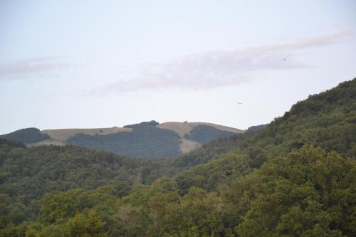 auliculiculiculiculiculiculiculiculiculiculiculiculiculiculic at Un passo dalla vetta in Monte Flavio