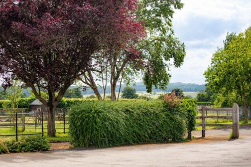 a hedge in front of a fence with trees at Banbury Hill Farm Bed & Breakfast in Charlbury