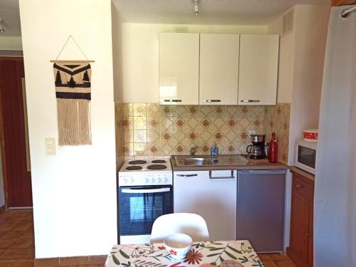 Кухня или мини-кухня в Studio en rez de jardin , vue montagne
