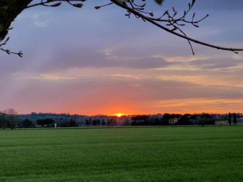 a sunset in a field with a green field at La Casa del Borgo in Peccioli