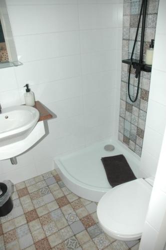 a bathroom with a toilet and a sink at Szerencsepatkó Vendégház in Cserszegtomaj