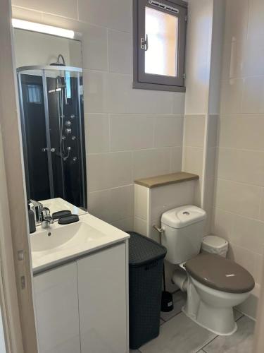 une salle de bain avec toilettes, lavabo et douche dans l'établissement Charmant Studio Proche Plage, à Valras-Plage