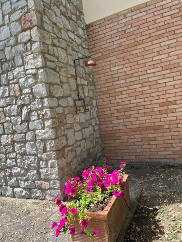 a planter with pink flowers in front of a brick wall at Villa Capinera, intera casa con parco privato in Punta Ala