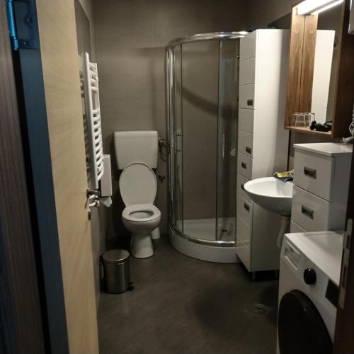 a bathroom with a shower and a toilet and a sink at Apartman Iva Brzeće-Kopaonik in Brzeće