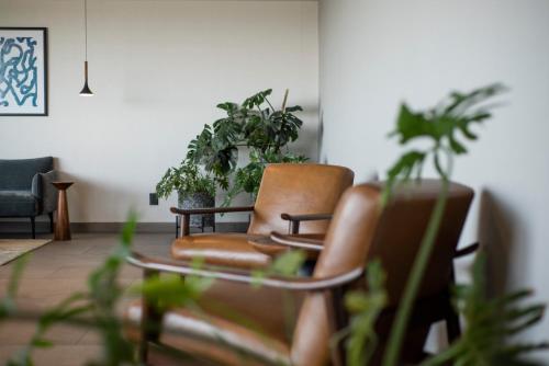 Χώρος καθιστικού στο Holiday Inn Express Guadalajara Expo by IHG