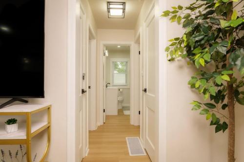 een gang met een televisie en een plant bij Heights Haven on Paris - 2BD Stay in Peoria Heights