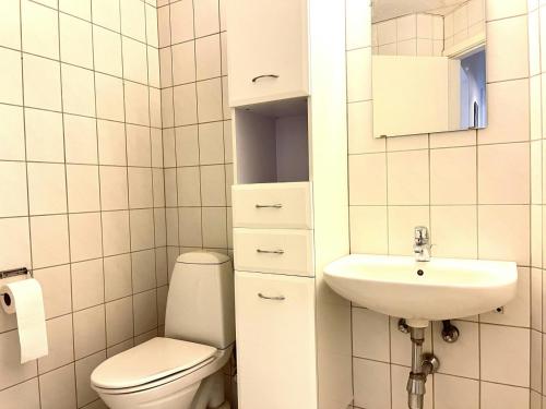Un baño pequeño con inodoro y lavabo. en Spacious Apartment for 6, en Frederikshavn