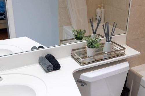 a bathroom with a white toilet and a mirror at Ent District 3 Bedroom 2Bath Parking CN Tower in Toronto
