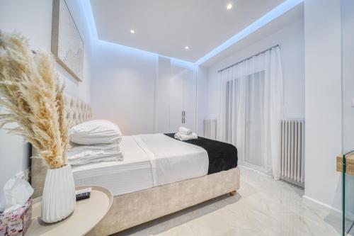 Infinity penthouse in Koukaki
