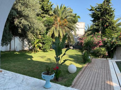 a garden with a palm tree and a walkway at Villa de jasmine hammamet in Hammamet Nord