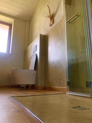 a bathroom with a toilet and a glass shower at B&B EcoAntico casa in paglia in Maiolo