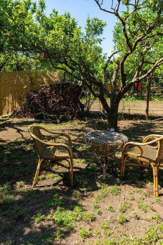 Κήπος έξω από το Mosaic House Artistic Retreat near Naples & Pompei