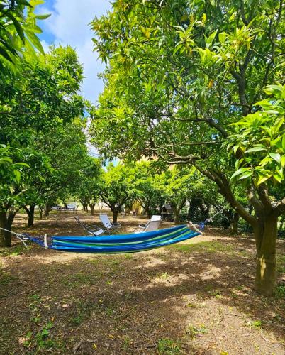 Κήπος έξω από το Mosaic House Artistic Retreat near Naples & Pompei