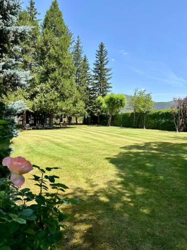 a large field of green grass with trees and a flower at Torre de las Águilas, Bellver, Puigcerdá in Bellver de Cerdanya 