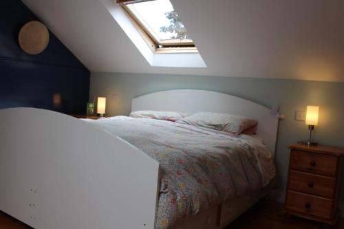 a bedroom with a white bed with a skylight at Tranquil Carlow Bungalow in Crockaun