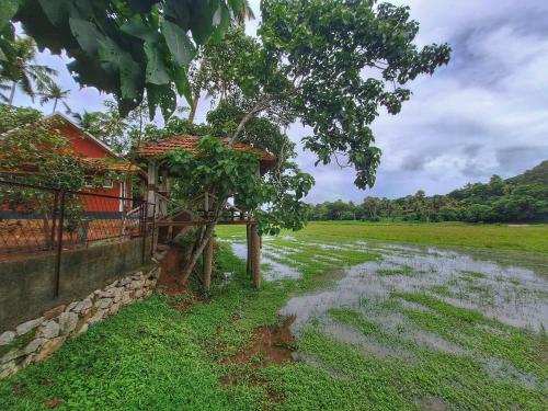 a flooded field next to a house with a tree at Nellu - Tranquil Pool Villa & Organic Farmstay near Varkala in Trivandrum