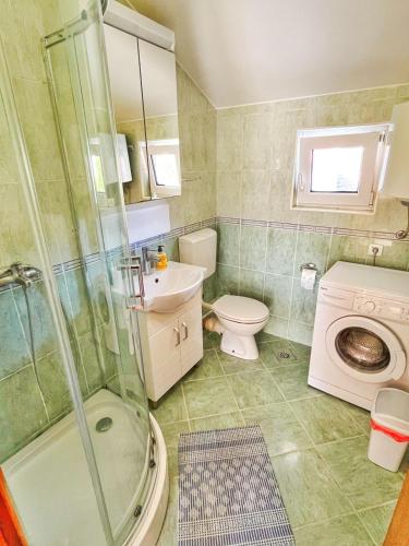 a bathroom with a shower and a toilet and a sink at Apartments Dosljak in Tivat