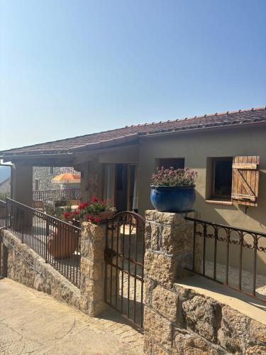 Casa Pitrina