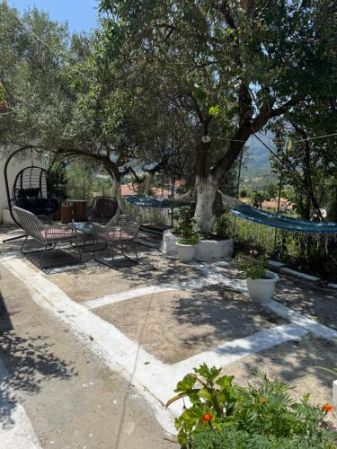 Κήπος έξω από το Basil & Guest House