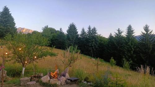 a fire pit in the middle of a field with trees at ZenFrame Cabin in Tarčin