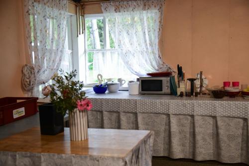 a kitchen with a counter with a microwave and a window at UKI Puhkeküla in Ranna