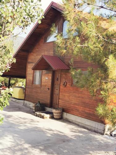 a wooden house with a front door and trees at The Mouflon House Pedoulas in Nicosia