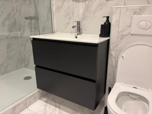 a bathroom with a sink and a toilet at Appartement spacieux de 34 mètres carrés à 10 min de Disney in Bussy-Saint-Georges