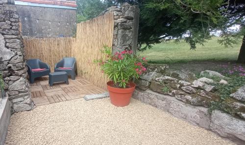 a patio with two chairs and a potted plant at Entre ciel et Sèvre in Treize-Vents