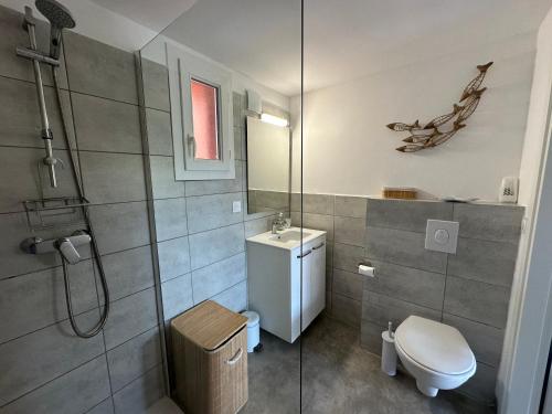 une salle de bain avec une douche, des toilettes et un lavabo dans l'établissement Mini Villa 4-6 pers. Les hameaux de Saint Cyprien, à Lecci