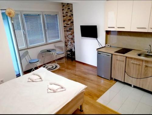 une petite cuisine avec une table et un évier dans l'établissement Alexandar apartment 1, à Ohrid