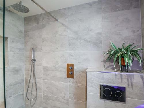 a bathroom with a shower with a plant in it at Heathmoor in Yelverton