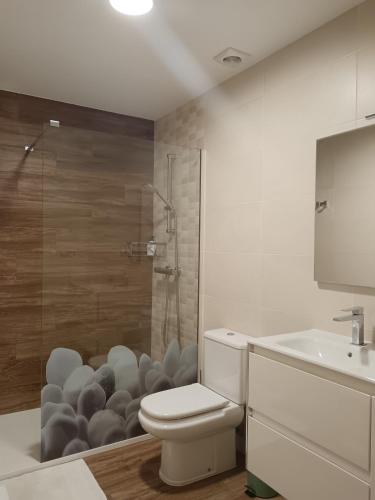 a bathroom with a shower and a toilet and a sink at Apartamento Perla 2000 in Portonovo