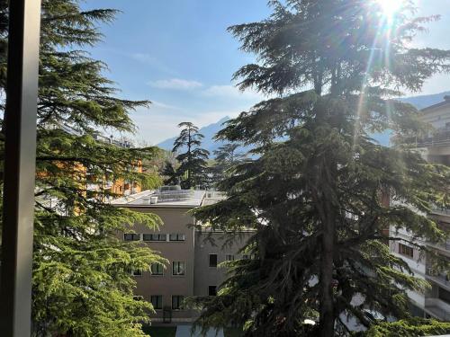 a tree in front of a building with the sun at YUGOGO PETRARCA 1 - Trilocale con balcone in Trento