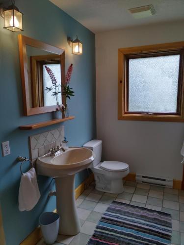 a bathroom with a sink and a toilet and a mirror at Beatrice Place in Slocan