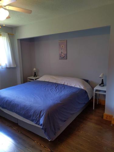 a bedroom with a large bed with a blue blanket at Beatrice Place in Slocan