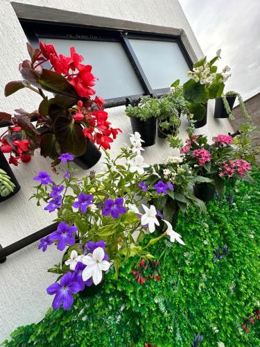 a group of flowers in pots on a window sill at Curiti Luxury House in Curití