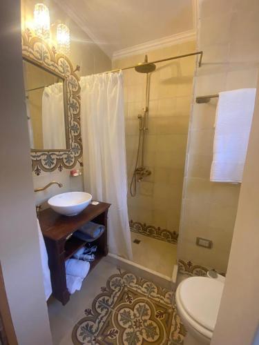 a bathroom with a sink and a shower and a toilet at Estancia La Elena Hotel Boutique in Tandil